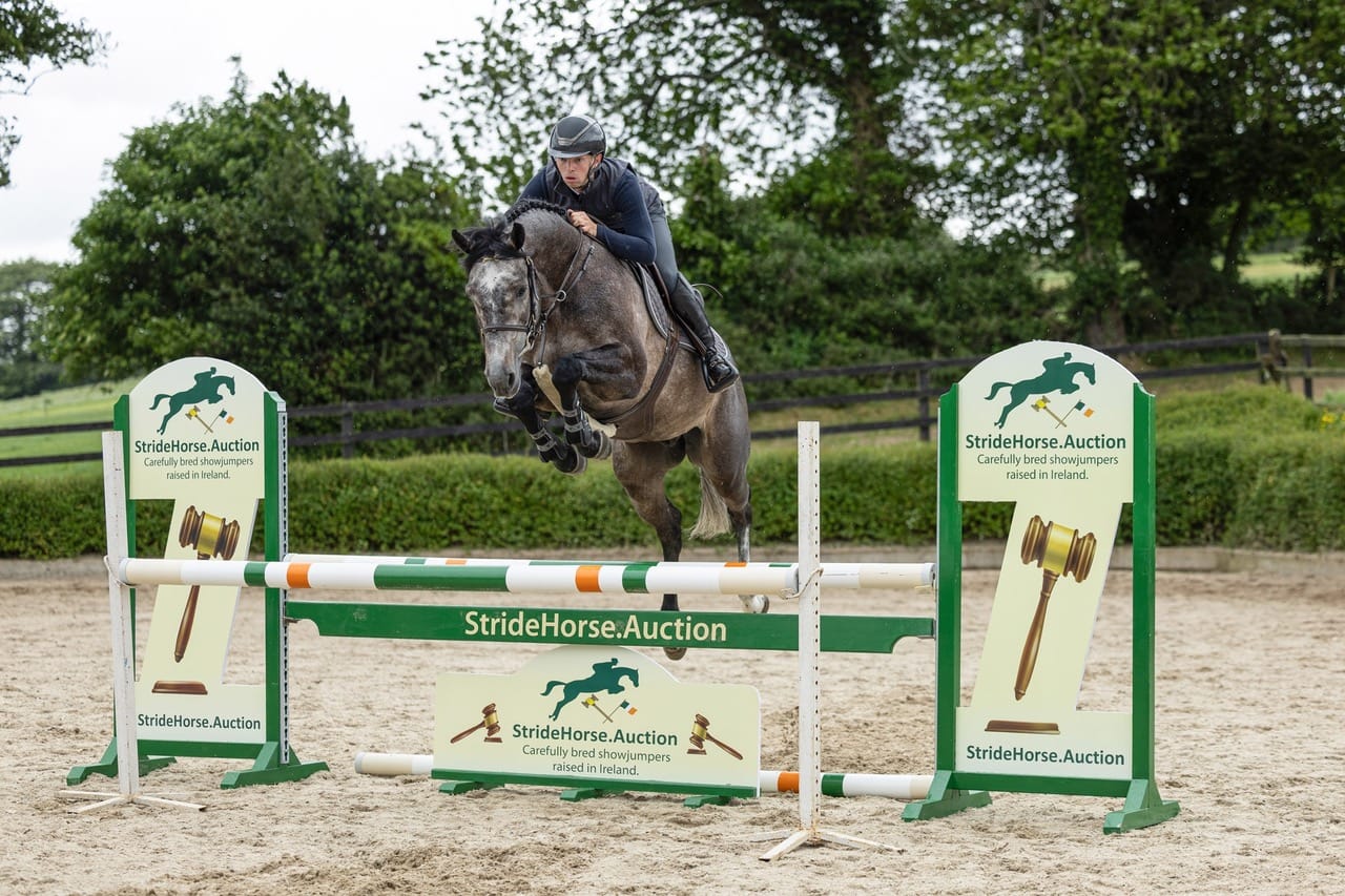 New in Ireland: StrideHorse.Auction New in Ireland: StrideHorse.Auction