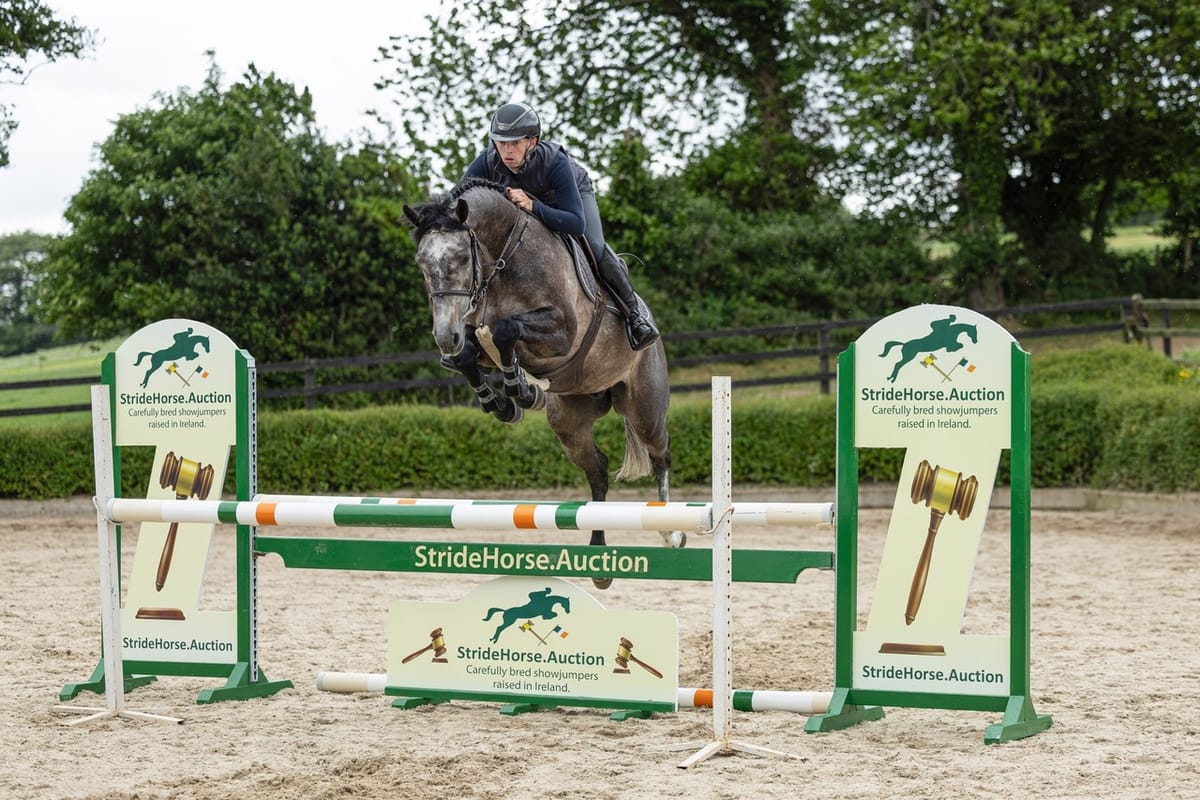 New in Ireland: StrideHorse.Auction
