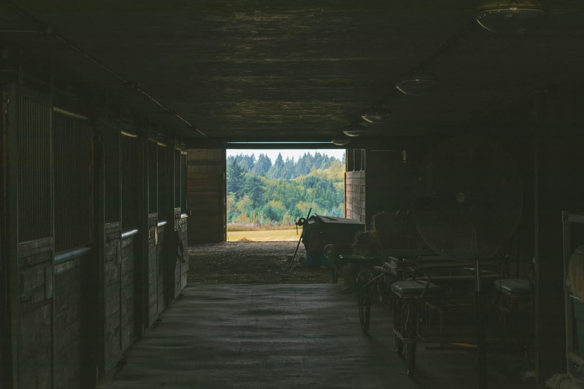 Horse Abuse and Sexual Assault