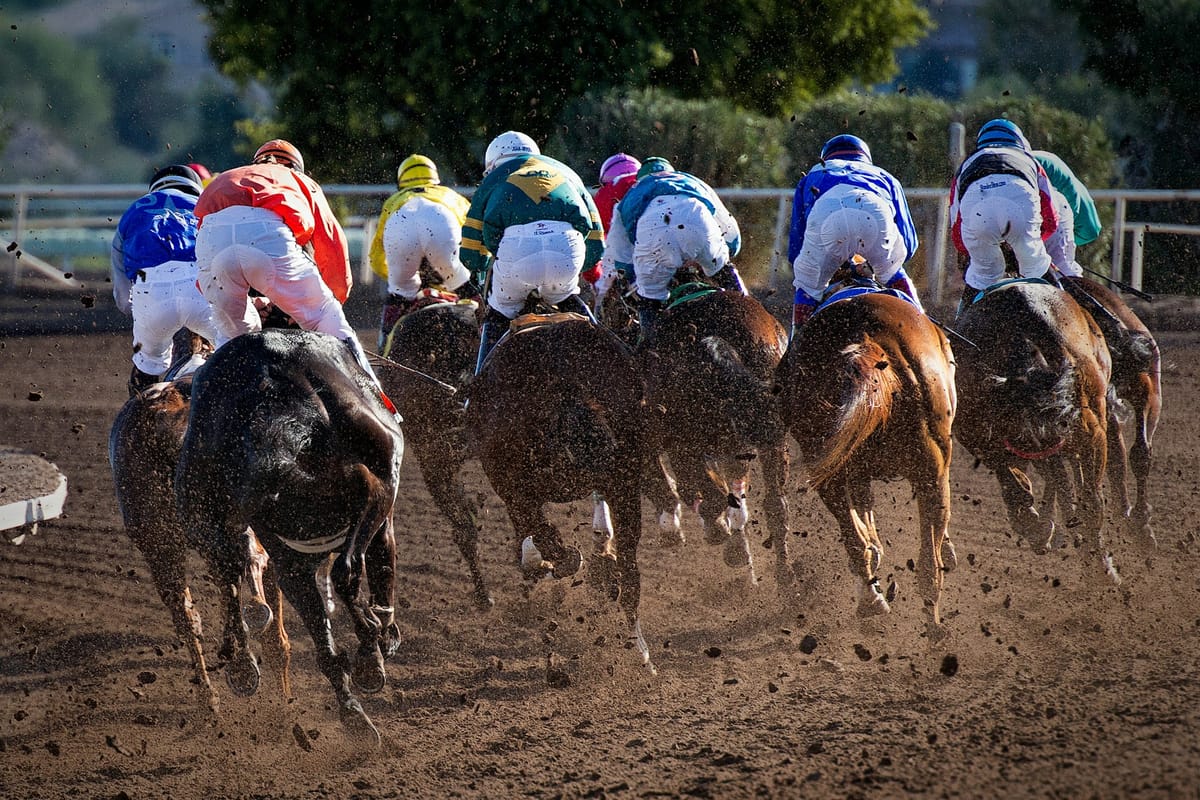Veterinarian Sanctioned for Possession of Banned Substance