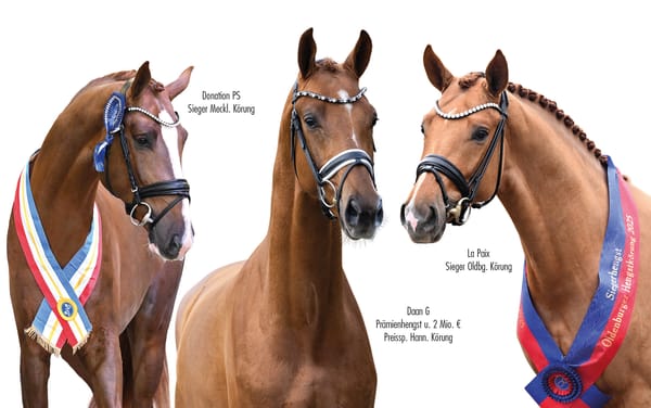 15 new stallions available via Paul Schockemöhle and Helgstrand Dressage