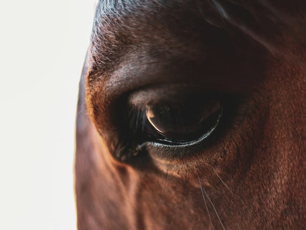Ethics, Tension, and a Missing Mirror