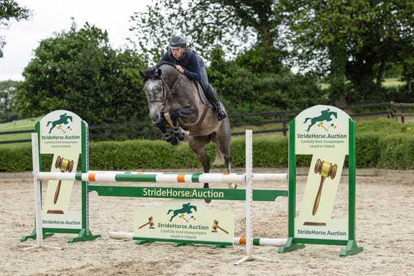 New in Ireland: StrideHorse.Auction