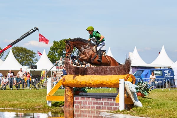 Horse Events Should Equal a Dog Free Zone