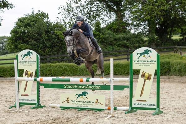 New in Ireland: StrideHorse.Auction