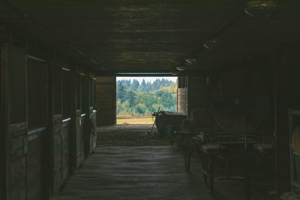 Horse Abuse and Sexual Assault