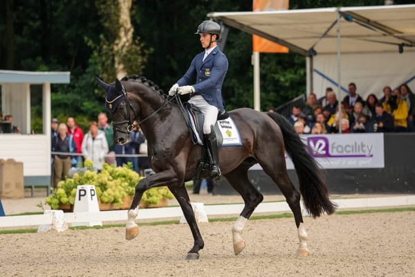 Kathmandu ES Z and Skyline To B - the most used stallions in Sweden