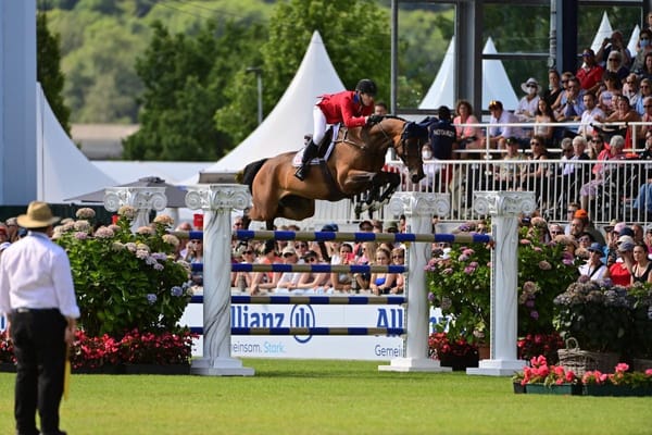 Flanders Embryo Auction promises firework in the Emirates