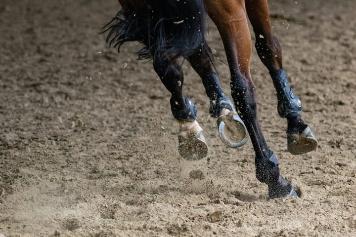 Disciplinary action against US eventer