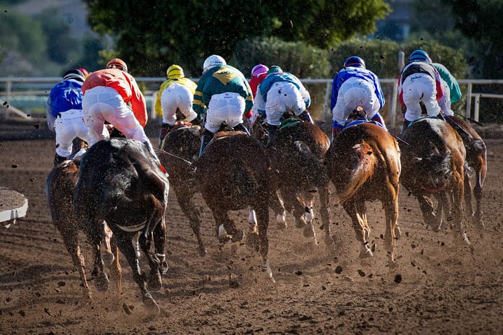 Veterinarian Sanctioned for Possession of Banned Substance